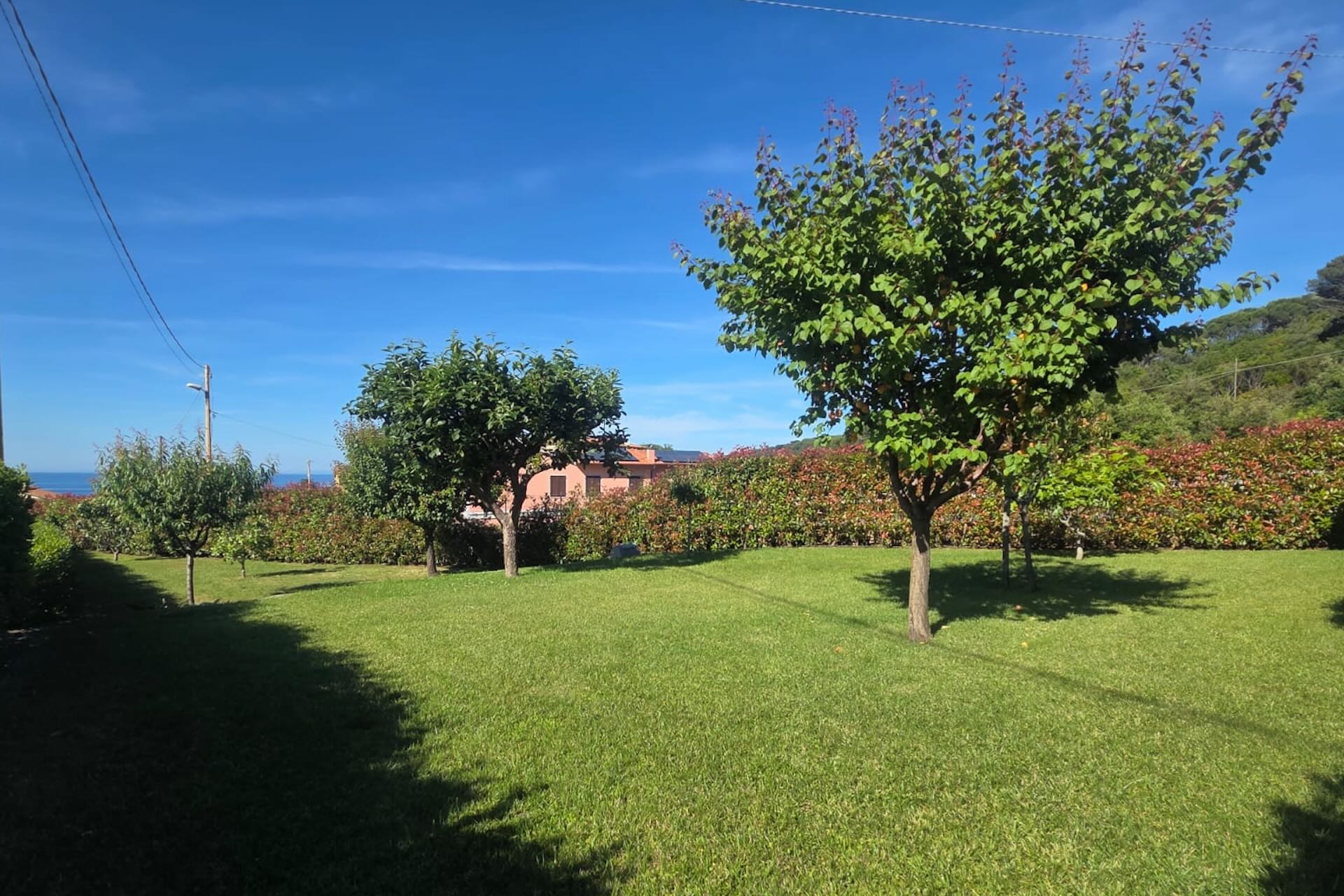 Giardino del Bed and Breakfast Capo al Piano